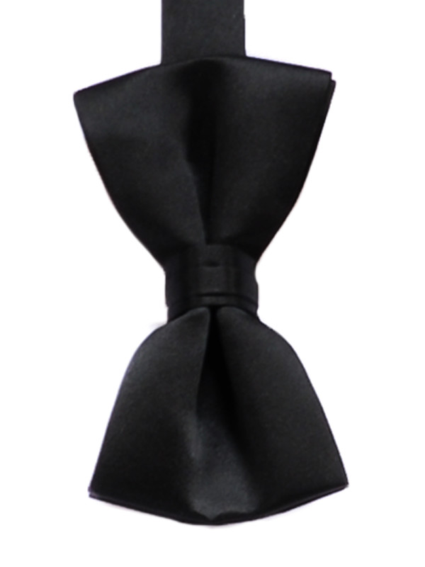 Satin S-Shape Bow Tie